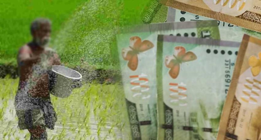 Government To Recover Misused Fertilizer Subsidies